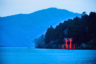 写真