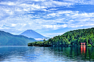 写真